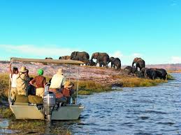 Experience a Riverside Game Drive by Boat